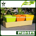 Casa jardim bio bonsai pots